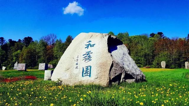 僵尸女友爱爬树